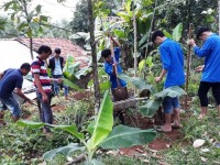 Đoàn xã Quế Lưu trồng chuối cho hộ thanh niên nghèo