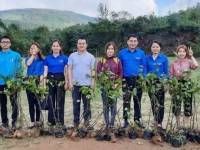 Chương trình Xuân yêu thương và phát động tết trồng cây xã Bình Sơn