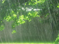 Chủ động ứng phó mưa lớn trái mùa